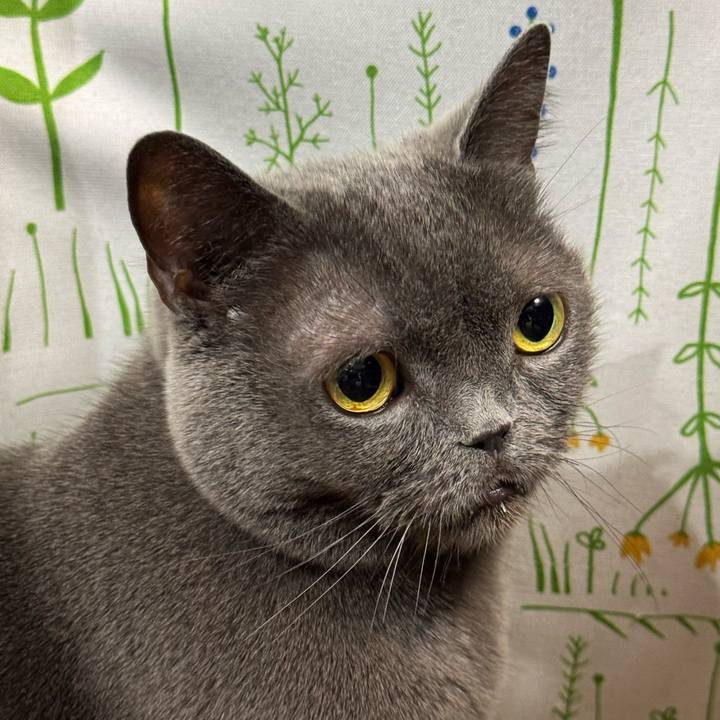 F72fbfdd acb9 4104 96f9 c21c2e8dbc6d 1766834999018