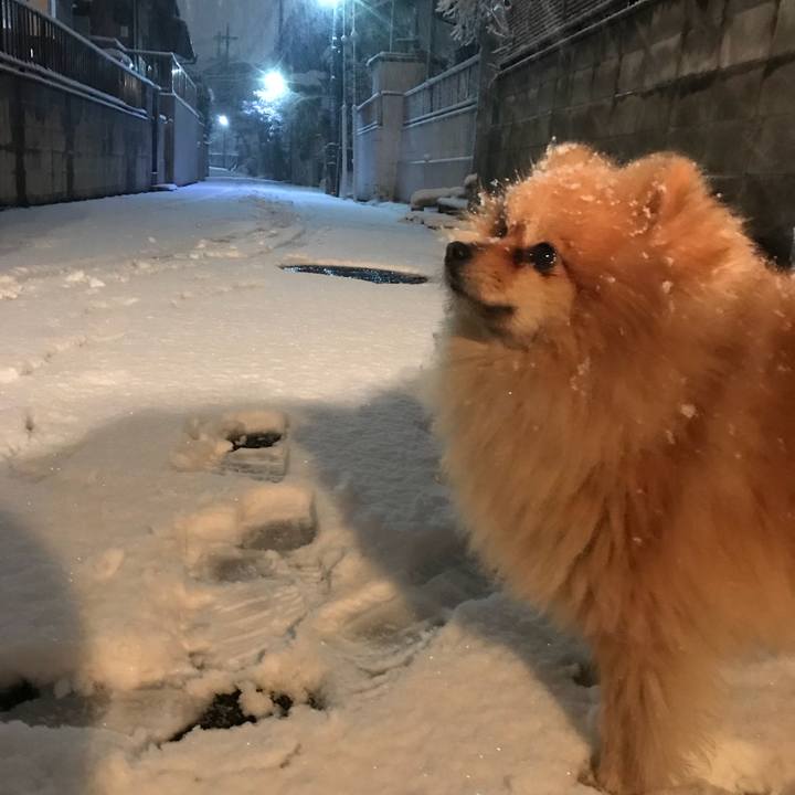 F72fc73a 9535 4ac5 bc17 1f74e24fc5ce 1516615201559