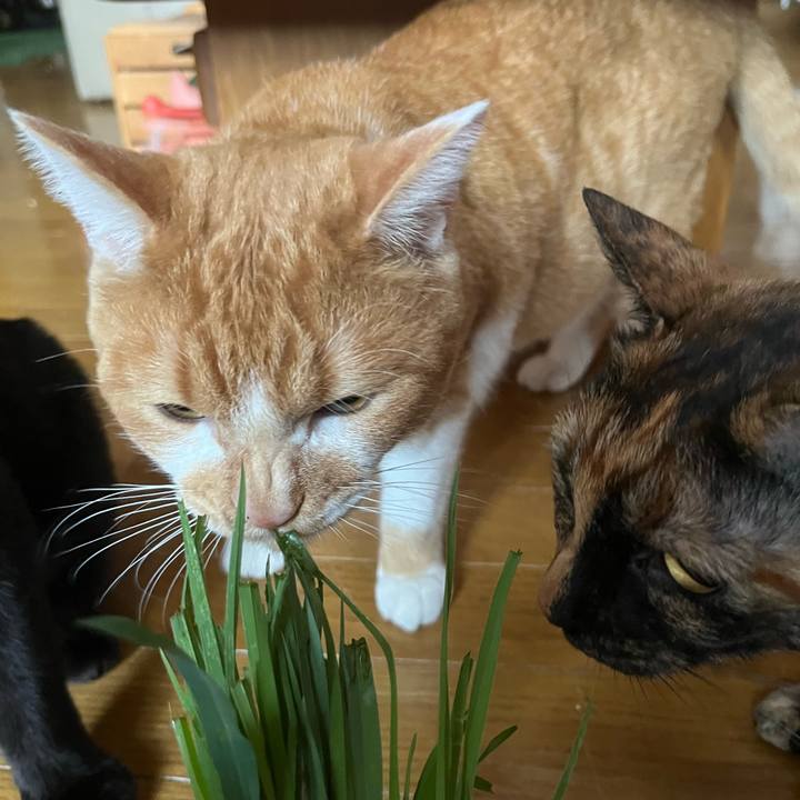 F7300311 8116 45e0 b1c4 5e70916cb6a6 1684445766084