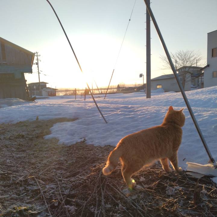 F7301571 fa3d 48e9 96c9 0b09265f9dcc 1677972018031