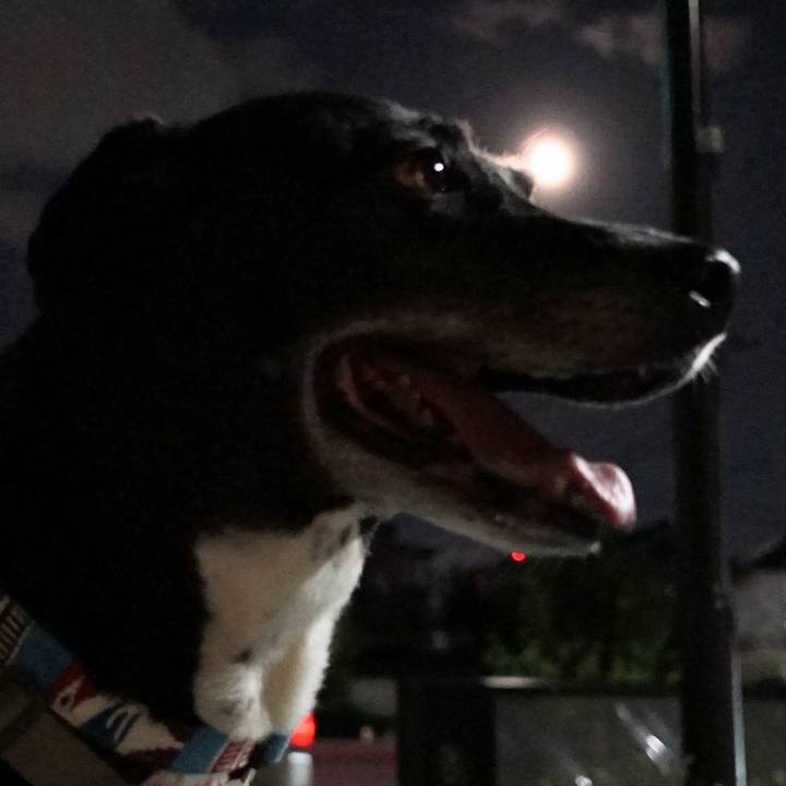 F7303201 5532 428b bc2a de42ca2cc78e 1757164027668