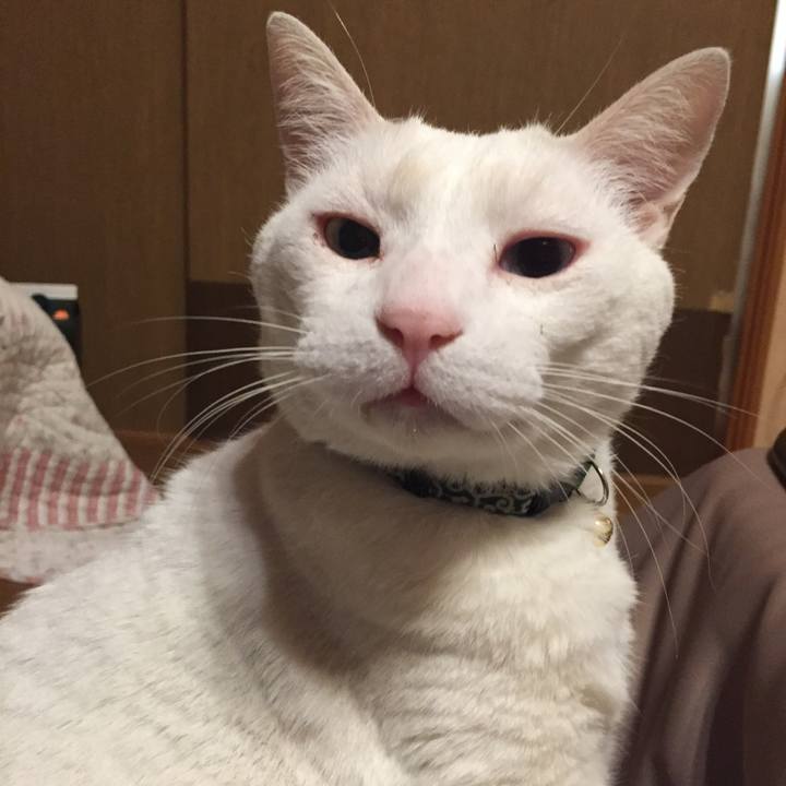 F7303bb6 77a9 4a0f 893c 4e4d69a28b5f 1554021211491