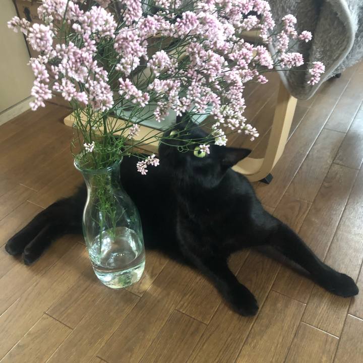 F7305939 02d3 46b8 a579 7c0611145427 1656034459104