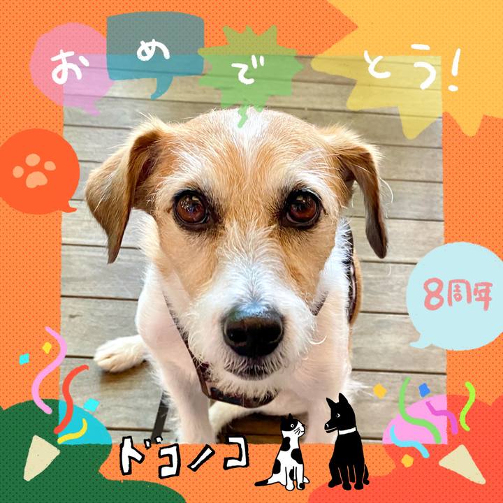 F7306d4e ee6f 40d8 84ac 0308441f41b8 1717846786305