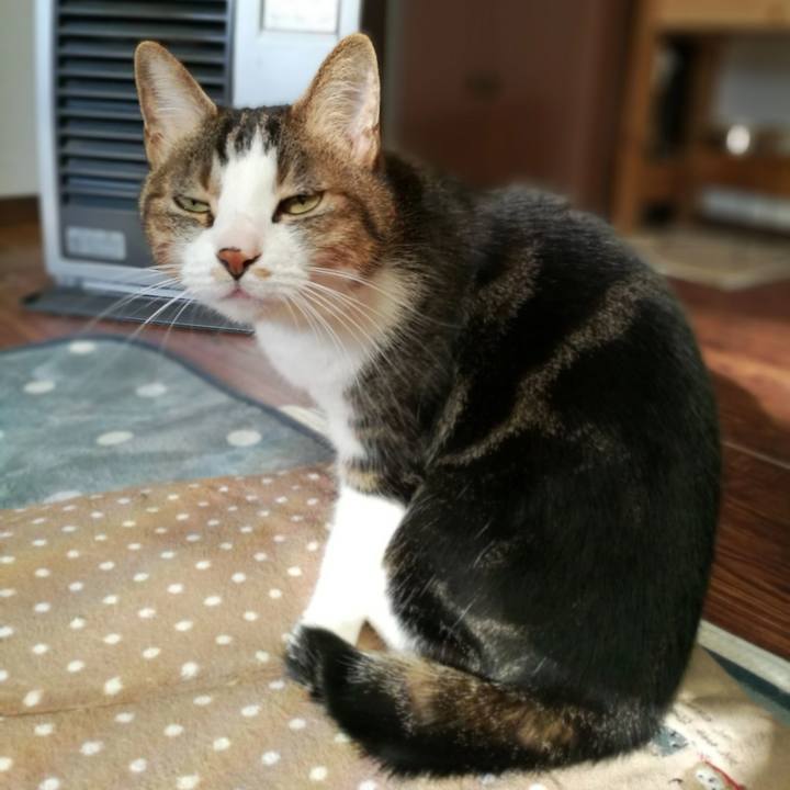 F730b48c f0e9 41e2 b927 466bf9d815ef 1547888464611