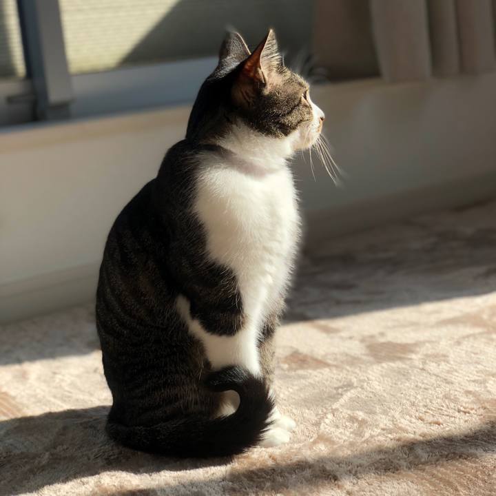 F730c155 81c4 486e af3a ef5973c05247 1523315869265