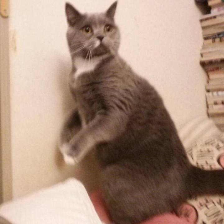 F730e6e0 03d1 42a2 a13b ff584df2be1f 1576982678227