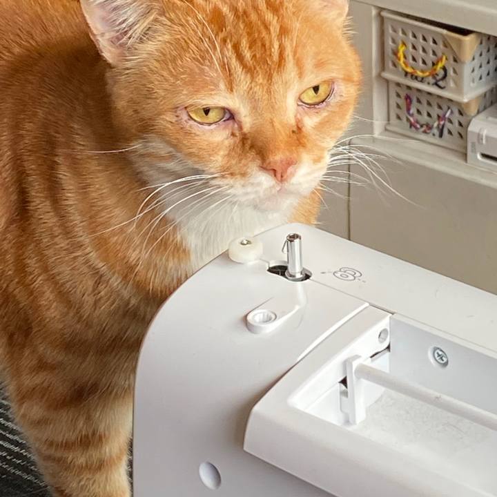 F73152ce 8297 42b7 a261 76fb6af24271 1588041784431