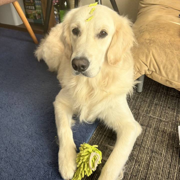 F7317c8a 5684 4ae2 b333 59e4ef5a9560 1765865232678