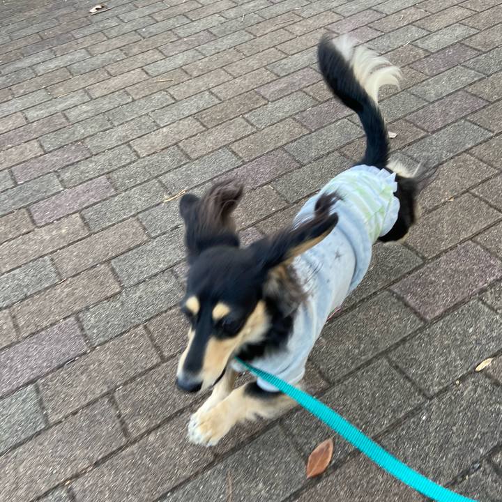 F7318f5b 13d4 40b1 8ccc 36ea562b8a1b 1703052675970