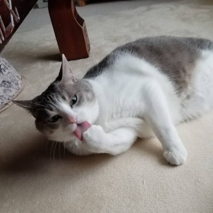 F731baef 909e 452e a78b 6e7781717433 1680219846235