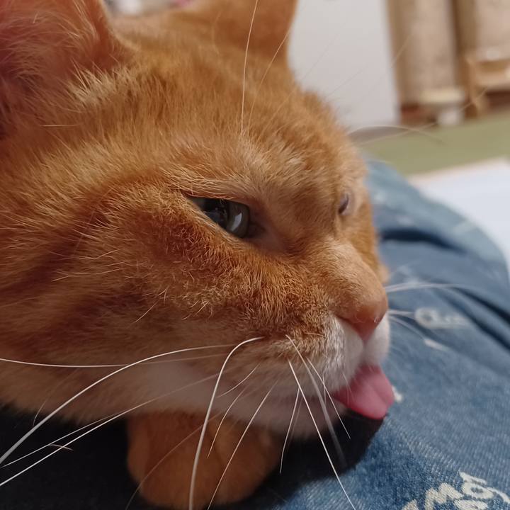 F731d069 e5ce 4f96 8dac 33f3ba605561 1724333655963