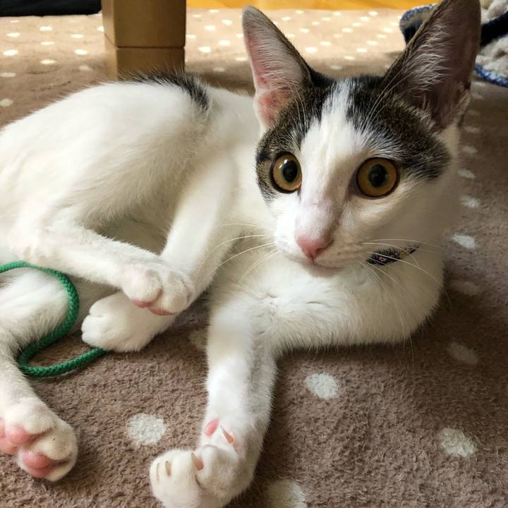 F731ea70 0697 4bfa be6e 1213d5de7aea 1572217512728