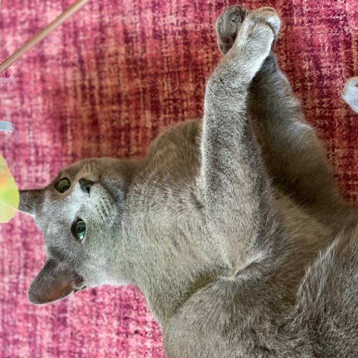 F731f7db f5f4 4292 92e5 4a20c62143f0 1584750413703