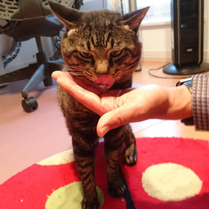 F7320cf7 5ef2 4729 9af7 26ed5689bb77 1537609910169