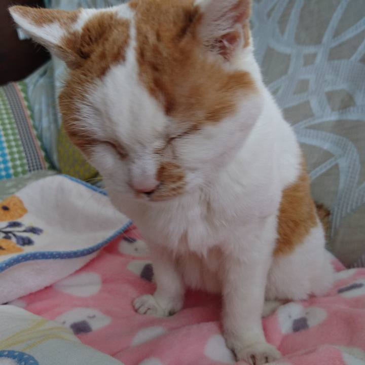 F7324193 b101 49e0 b85a e4a5c45c340c 1546305682789