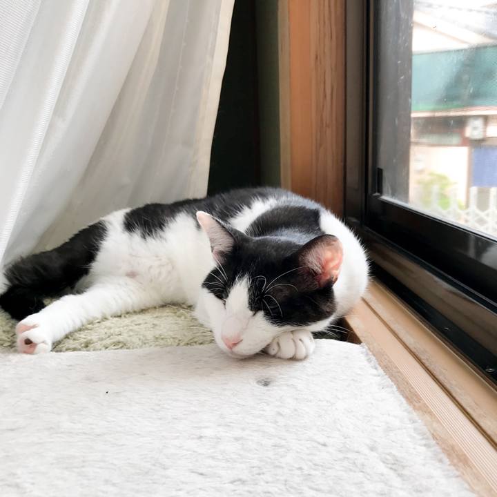 F732554b 4cb1 4734 a509 57465387ef1f 1532226650387