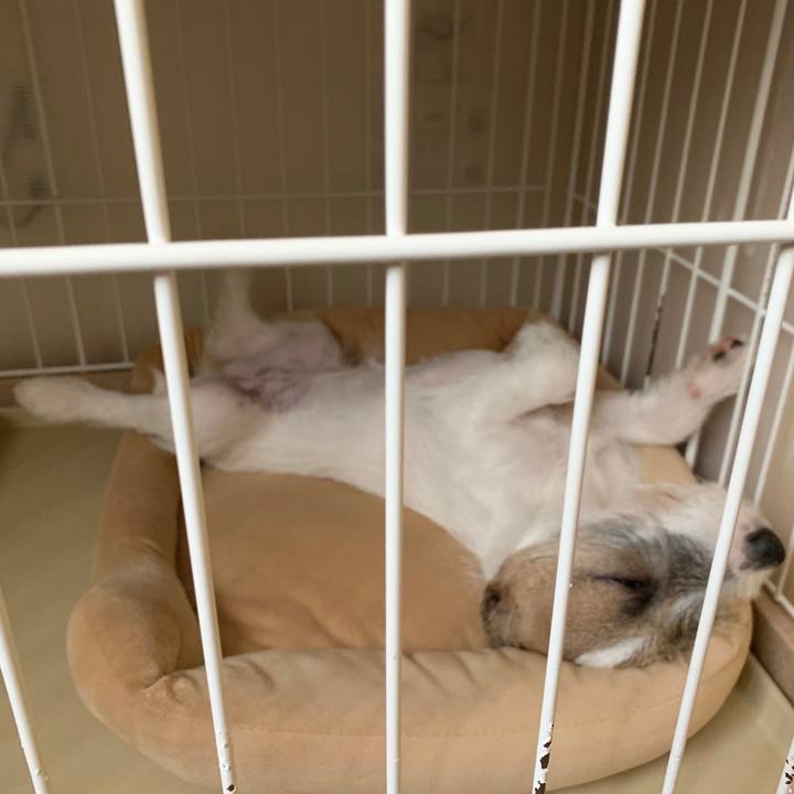 F7327f62 e076 4821 81b9 25bf9a1b488f 1564719088443