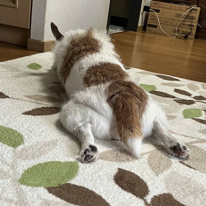 F7328bab 8ae5 45a7 9b7e 2e33b9edf742 1725151973715