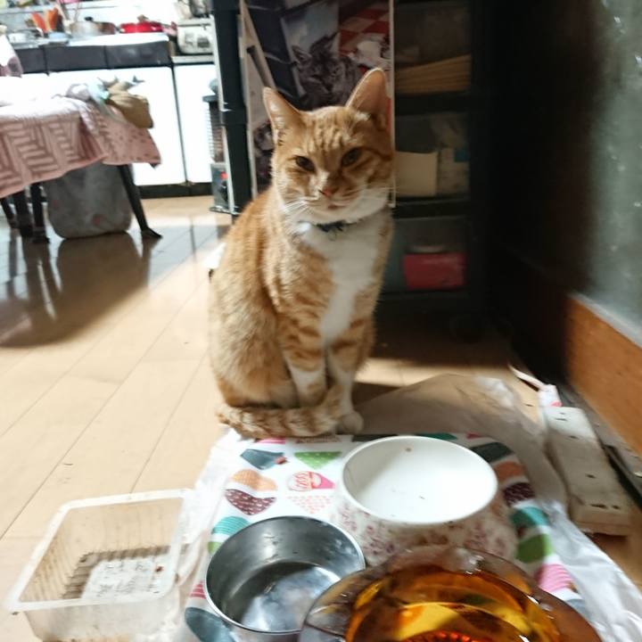 F732a08a b335 4bca a142 4e9f0f46fcbf 1605296602520