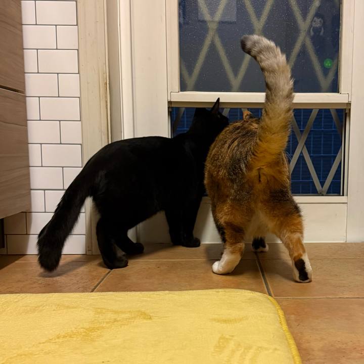 F732c56a d774 4870 8d10 9799d932fcbd 1765407436968