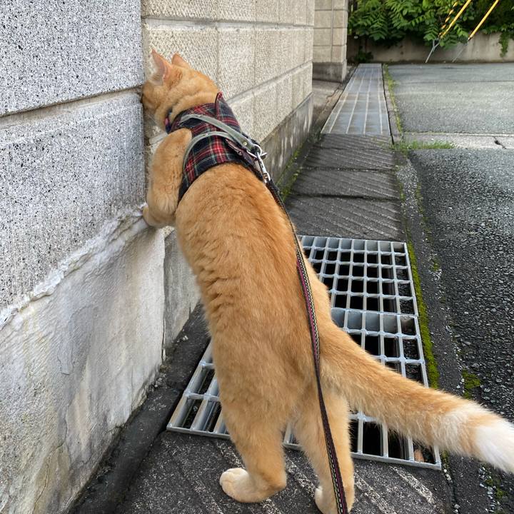 F732c97d db9c 449d acb1 6e7133c1ccb7 1596618963345