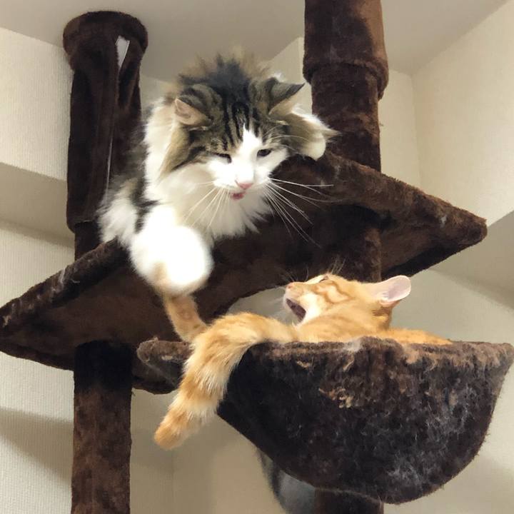 F732d3ec 84f7 48c9 89e1 2a715fe09831 1572189184327