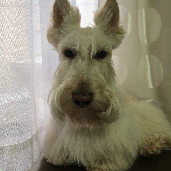 F732fc3a 19f4 42ec b85b 663895585f70 1533306764627