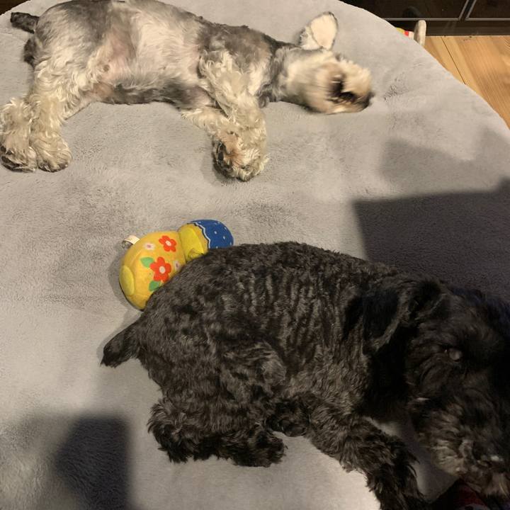 F733033d 7faf 4ff3 ad1f a88809e421e2 1683718891638