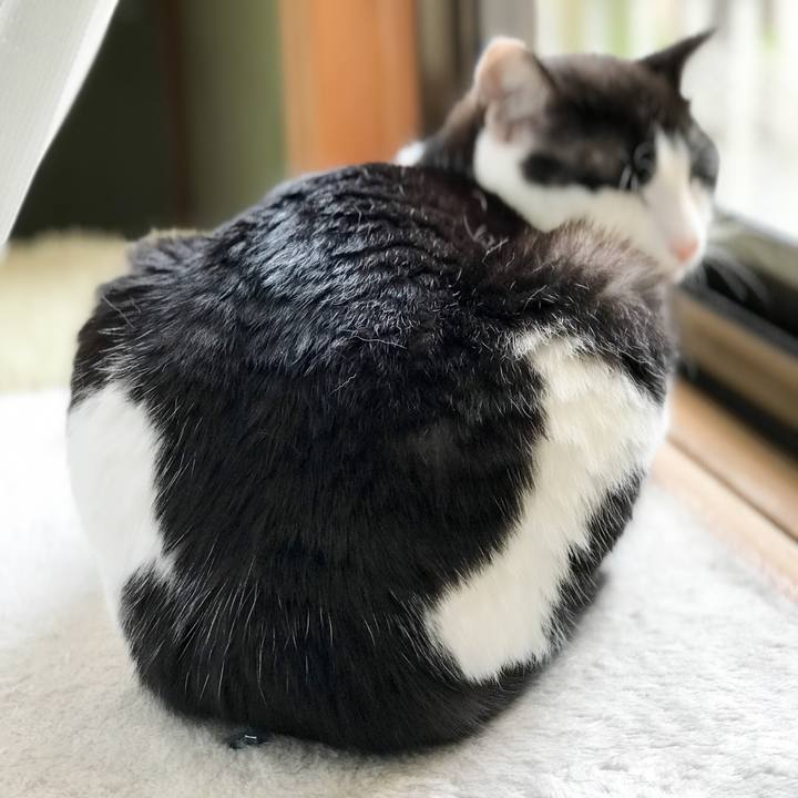 F7330f4e dfb9 470b ac87 1b516ff1287e 1528124051169