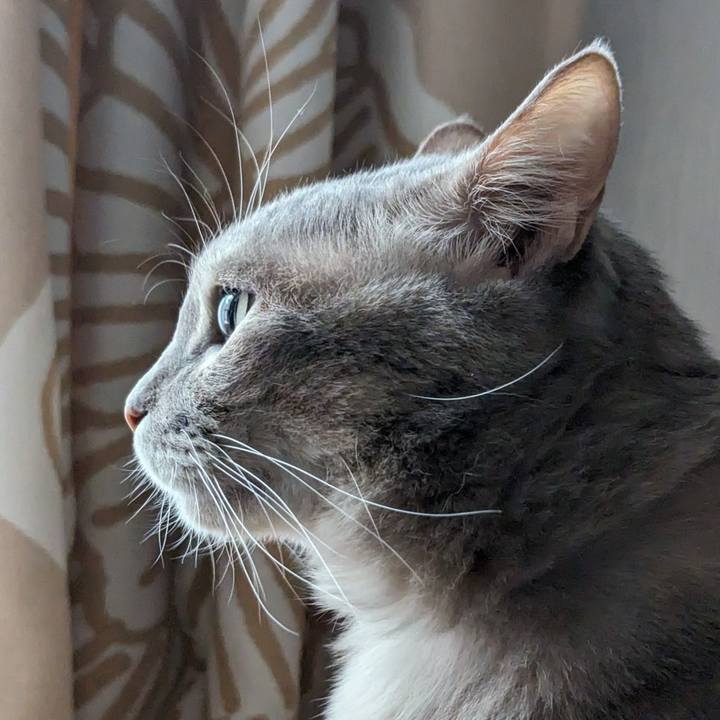 F73340ca b98a 4e00 894c 54d28e800006 1709266674053