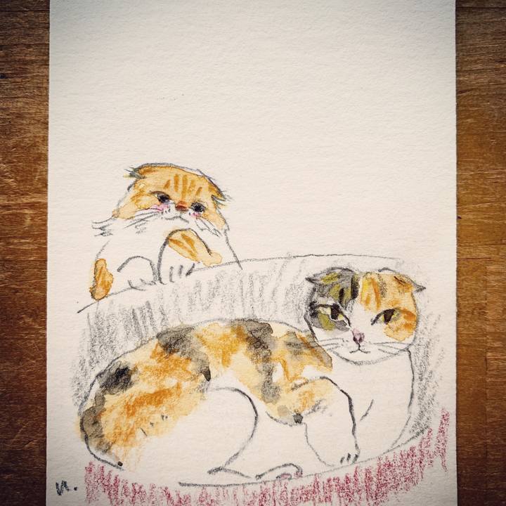 F7337721 b5da 4d55 b3b3 0427f0bad994 1612942691853