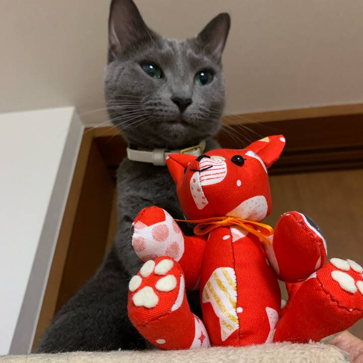 F7339711 6460 4d84 9529 102179142e8b 1628426807579