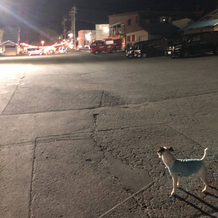 F733a5a2 b731 4102 9b8d 5991c2f31c3b 1565784230596