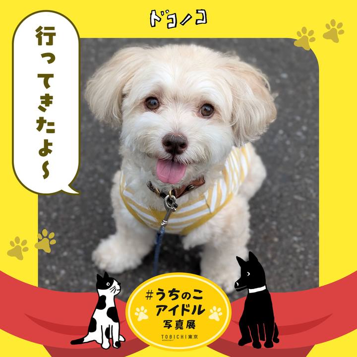 F733ad22 4265 472d b151 e787692db4cf 1761299275664