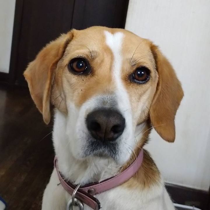 F733c971 b588 44dc a9cc 95ec596c1fe4 1587386530672