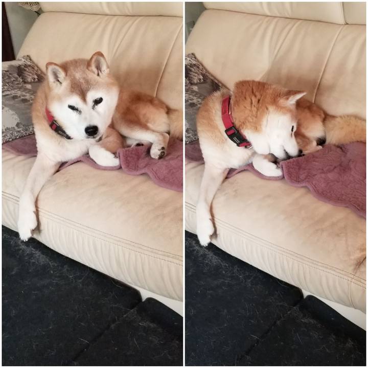 F7342f6c 3128 4e1c bc56 84986cb35091 1758769566175