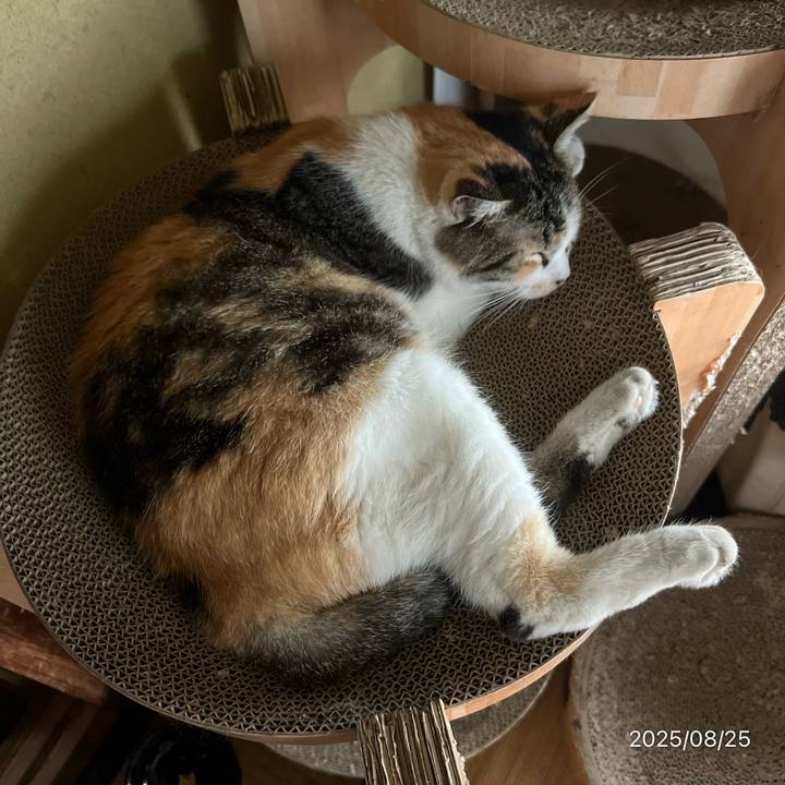 F73479d2 fb26 4cd4 9d1a 00ff1712eb79 1756076346645