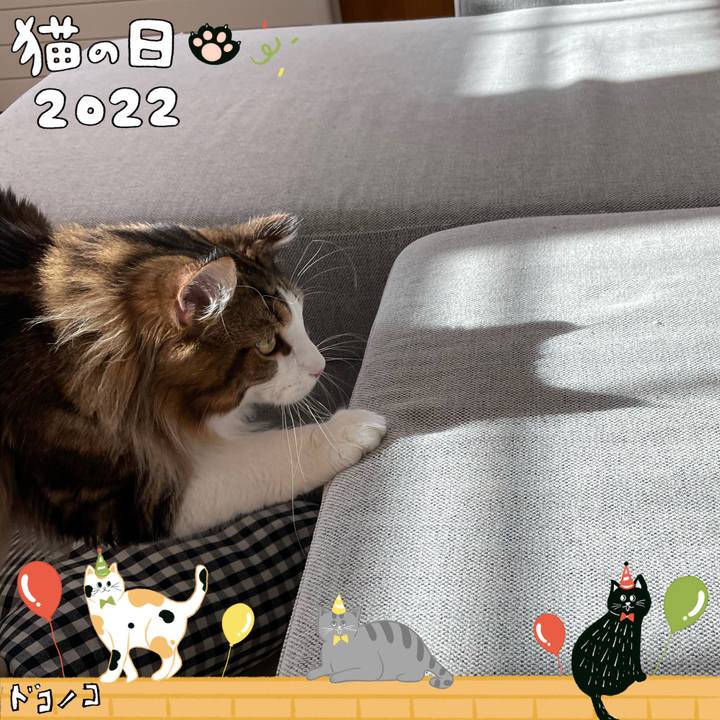 F7349a85 da34 4c0c ae5b eca72eab4c4c 1645577605583