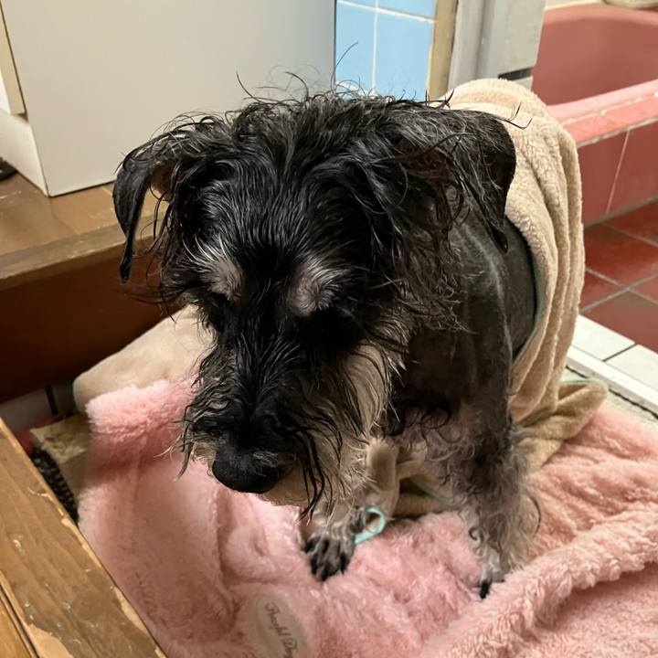 F734b6fa cf13 4e80 b89a 4c4b7bb5b61c 1745137547174