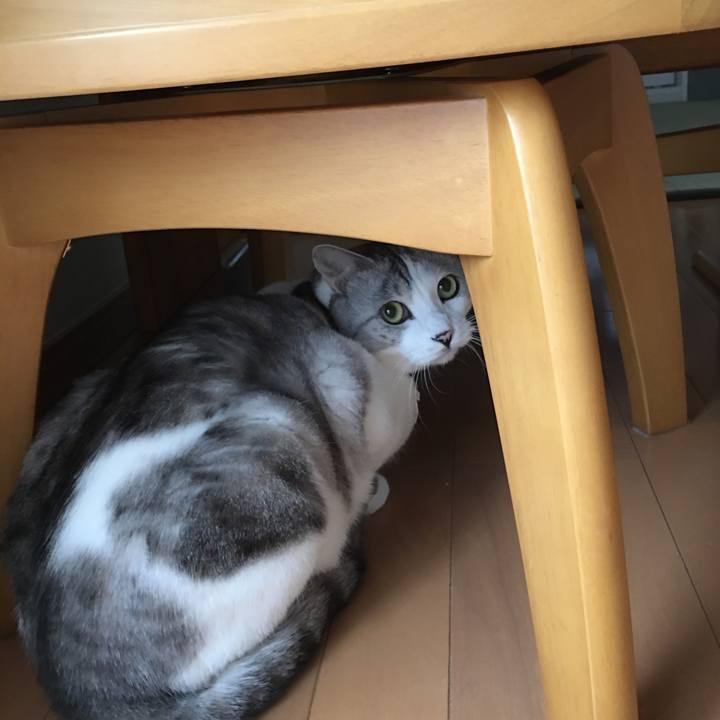 F7350421 cf88 4ae3 8319 2d9e9fb7c746 1519431871009