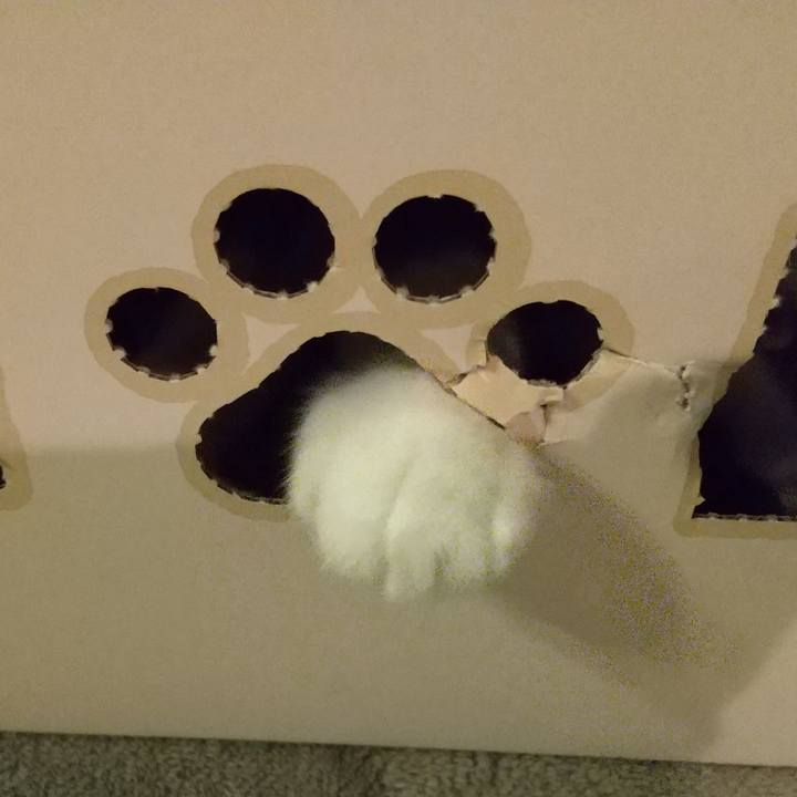 F7354f49 a5f5 480e ad22 03463bc43c67 1601561430468