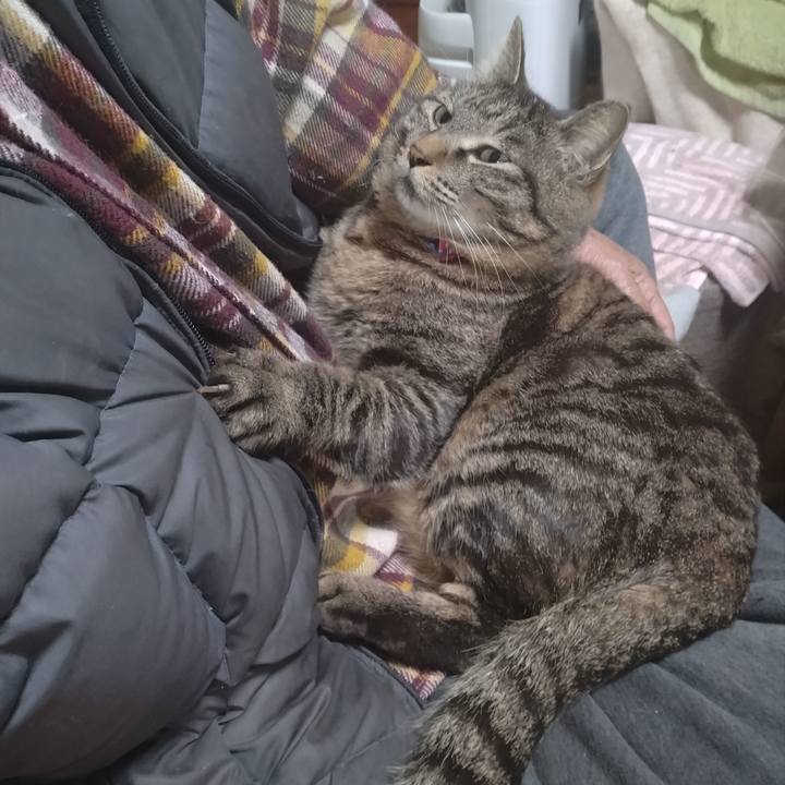 F73553ed 86b3 4497 bee4 ce40fb675e7e 1681290473319