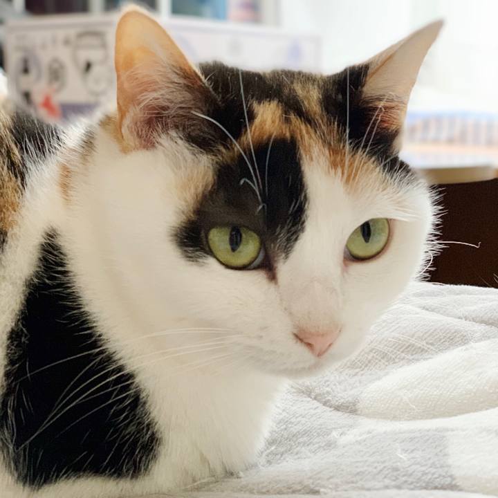 F73557a9 0e3a 4e5b 878a 49bdf6e0d2ce 1552095306864