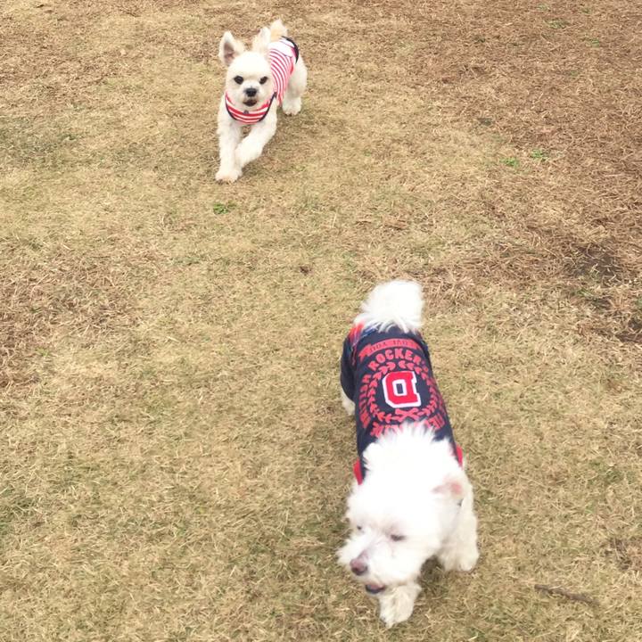 F7356ae8 c603 4dae 9d3a 2a678d6df7fb 1543315354454