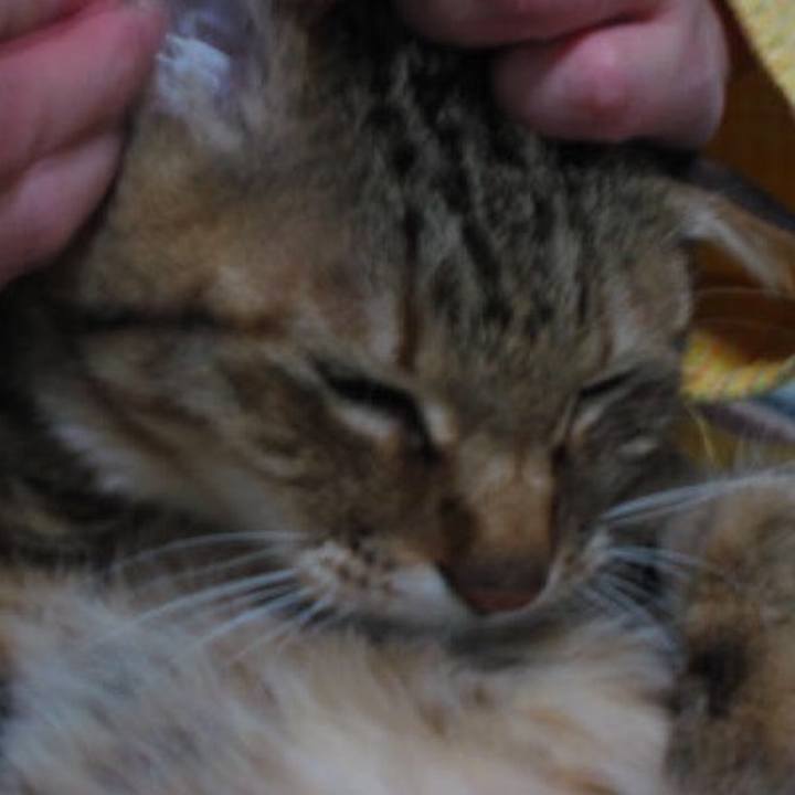 F73575aa a24e 4e0a 98c8 db41bd86279e 1558396659044