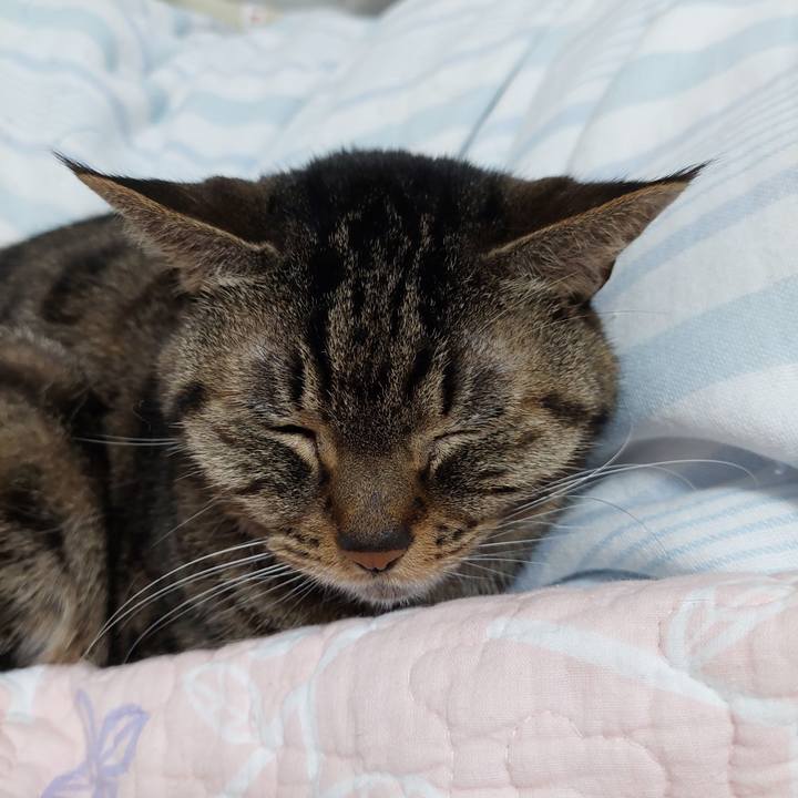 F73584d9 c2e7 4f8b 834b 0978b6516357 1640644637852