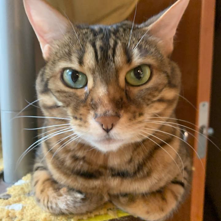 F7359f21 29da 40a2 99c6 6497143d1d52 1623108414838