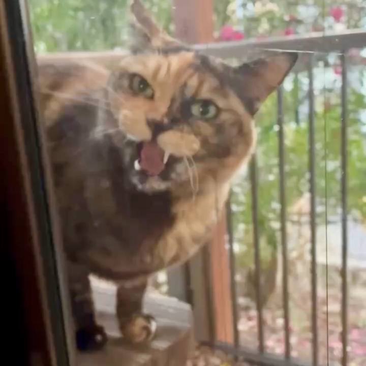 F7367c0d 9f7a 4bba aa61 350e9f2a2cec 1769520012001