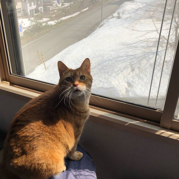 F7368b3c 6da7 4f04 bcea db82d6cb880a 1649554091340